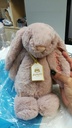 bashful-luxe-bunny-rosa-medium-31cm-personalised-jellycat-bunny-2.jpg