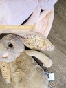 bashful-navy-bunny-medium-31cm-personalised-jellycat-bunny-soft-toy-7.jpg