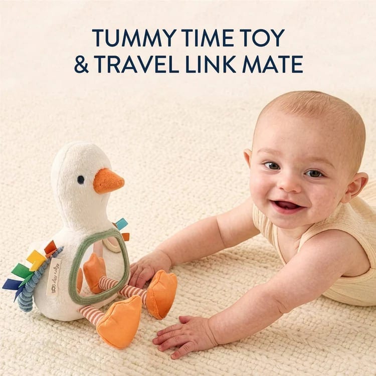 gracie-the-goose-itzy-bitzy-mirror-sensory-tummy-time-mirror-2.jpg