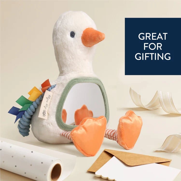 gracie-the-goose-itzy-bitzy-mirror-sensory-tummy-time-mirror-5.jpg