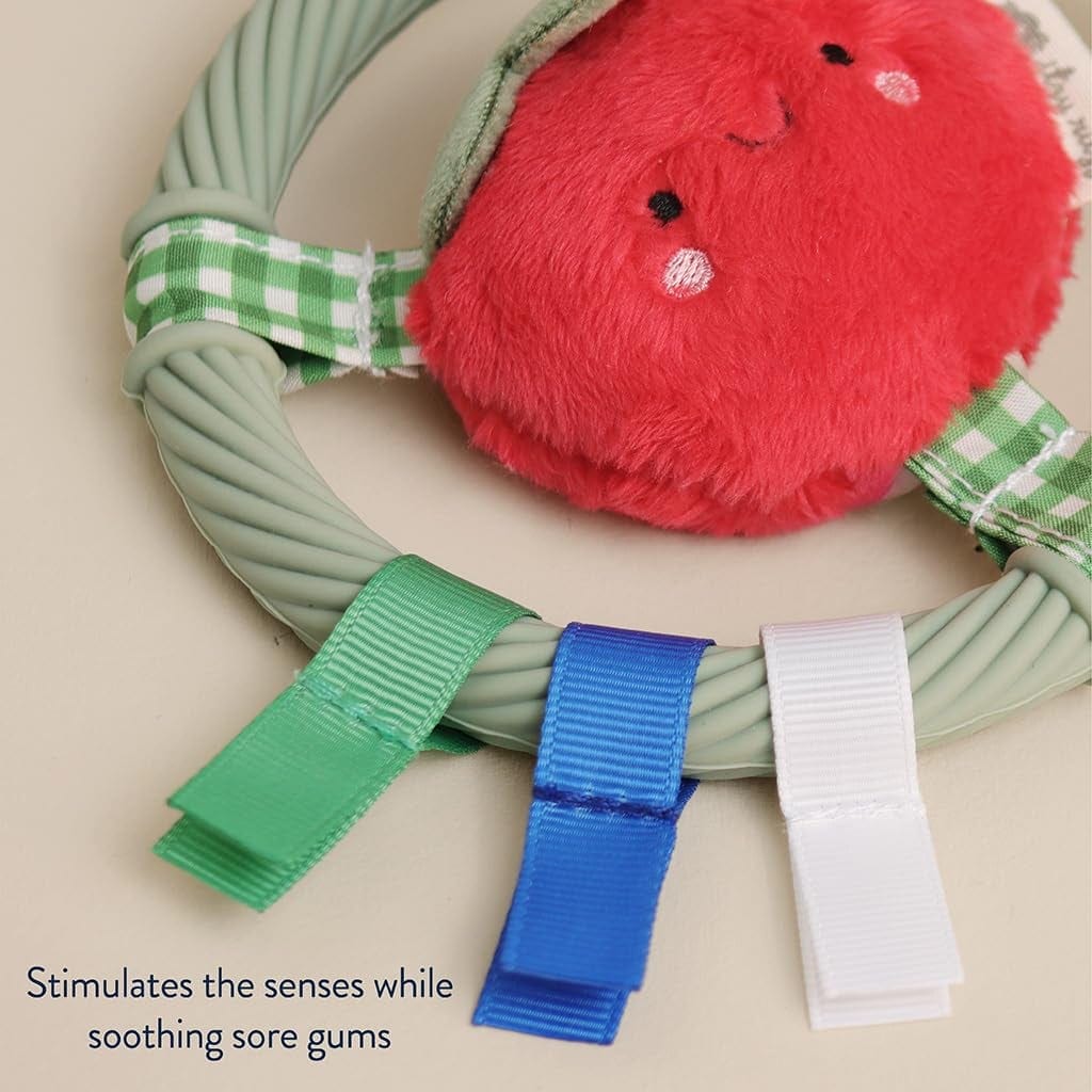 itzy-ritzy-silicone-teething-ring-pal-tomato-1-3.jpg
