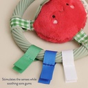 itzy-ritzy-silicone-teething-ring-pal-tomato-1-3.jpg