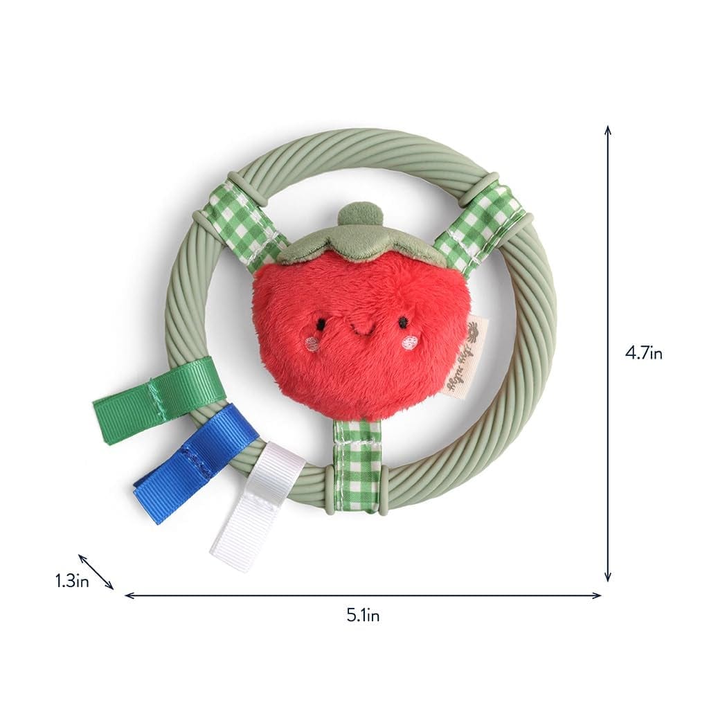 itzy-ritzy-silicone-teething-ring-pal-tomato-1-7.jpg