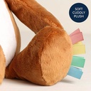 sweetie-snuggles-plush-fox-itzy-ritzy-5.jpg