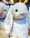 bashful-twinkle-bunny-medium-2.jpg
