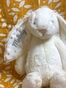 bashful-twinkle-bunny-medium-5.jpg