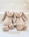 bashful-twinkle-bunny-medium-9.jpg