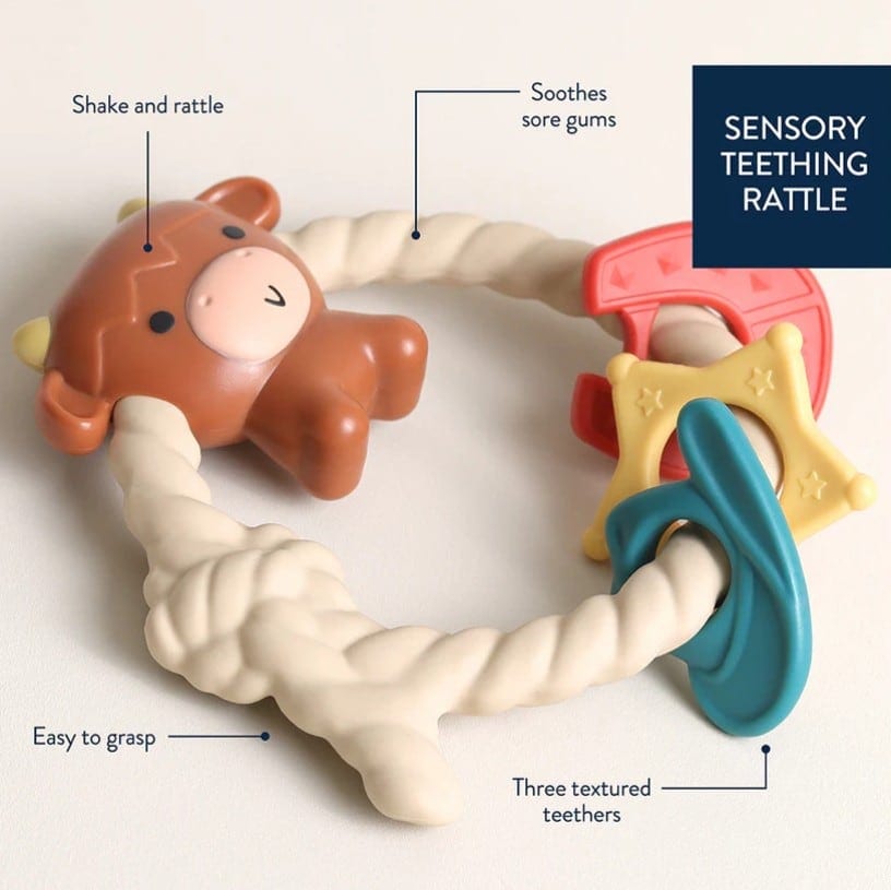 ritzy-rattle-with-teething-rings-2.jpg