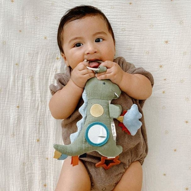 bitzy-traveler-developmental-sensory-toy-dinosaur-2.jpg