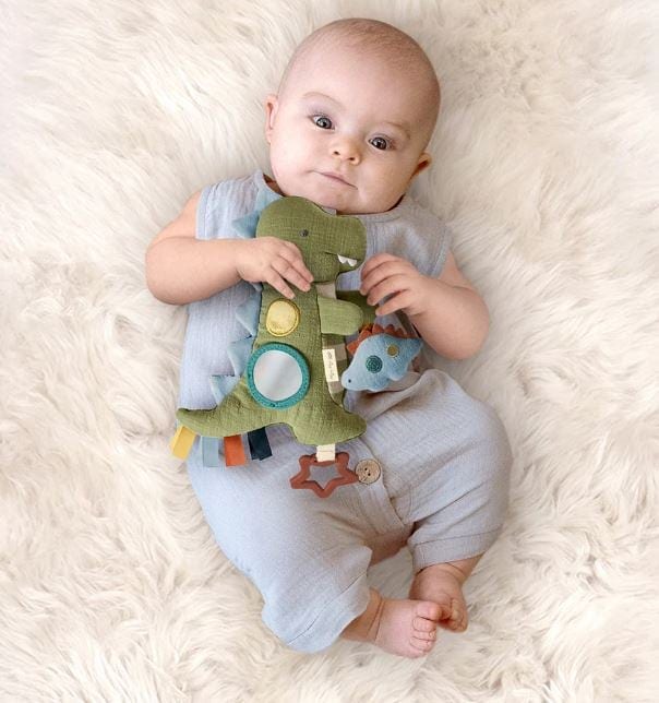 bitzy-traveler-developmental-sensory-toy-dinosaur-4.jpg