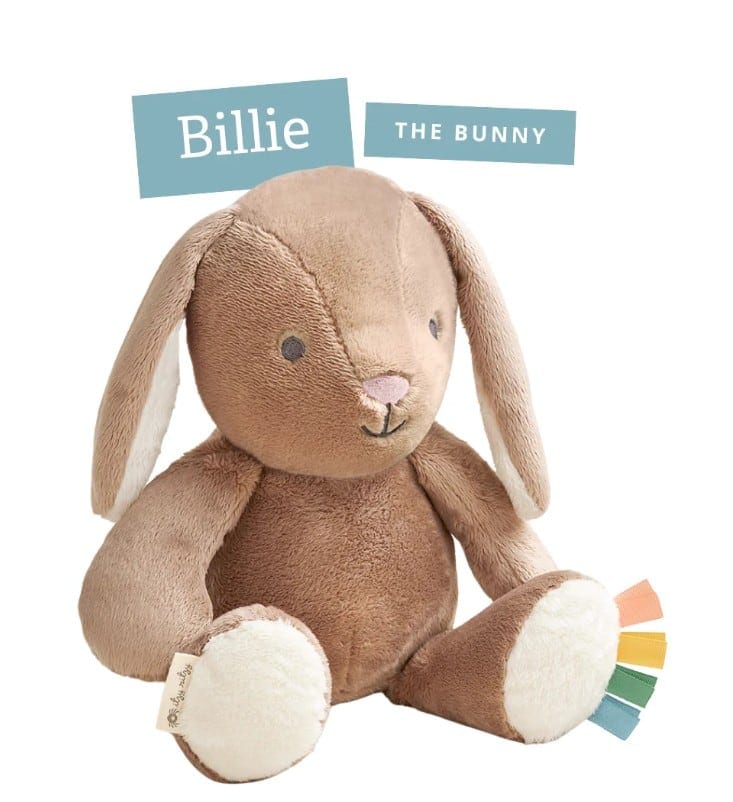 sweetie-snuggles-plush-billie-the-bunny-2.jpg