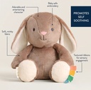 sweetie-snuggles-plush-billie-the-bunny-4.jpg