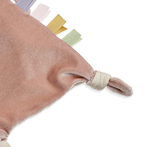 Ana the Bunny Bitzy Crinkle™ Sensory Toy