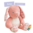 Sweetie Snuggles™ Plush - Ana the Bunny