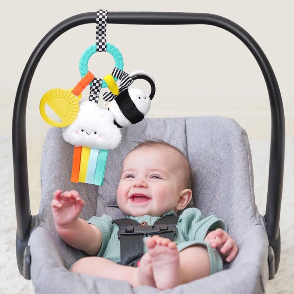 [303401646] High Contrast - Bitzy Busy Ring™ Teething Activity Toy