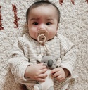 Bitzy Pal™ Natural Rubber Pacifier & Lovey - Discounted for Slight Dent in Box